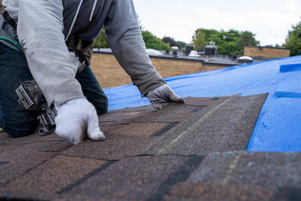 Best Roof Restoration Services  in Franklin, CA